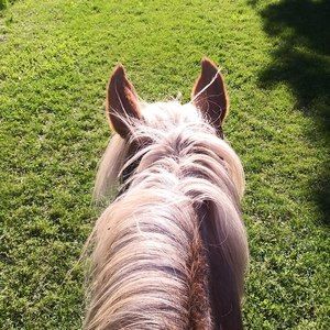 Meet your Posher, Kara